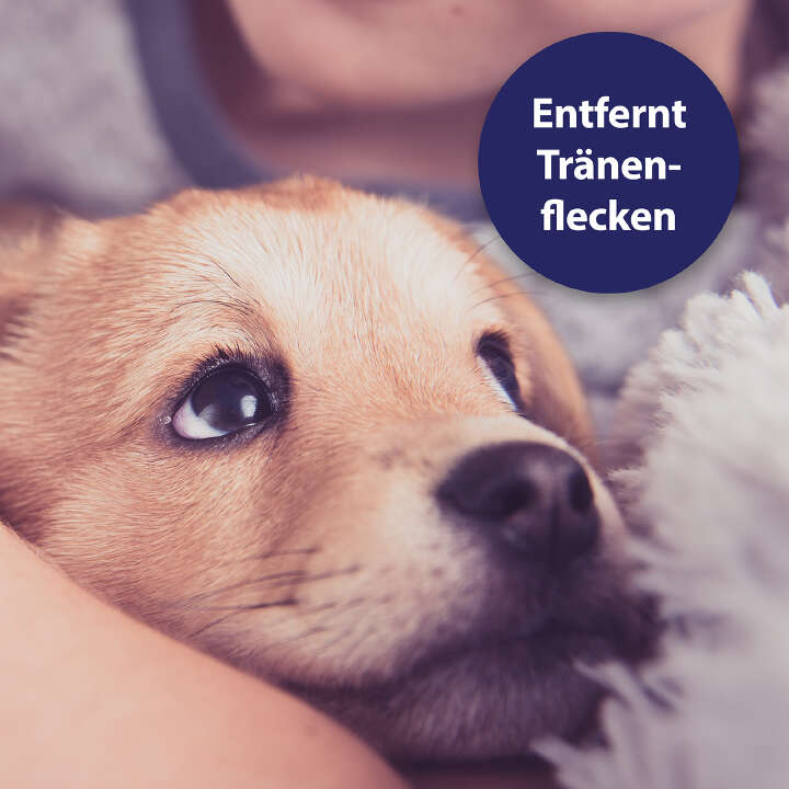 Canosept Augenpflege-Pads für Hunde